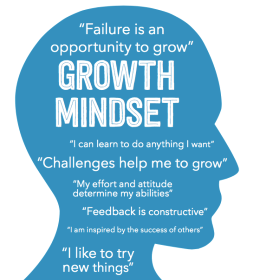 Develop A Growth Mindset