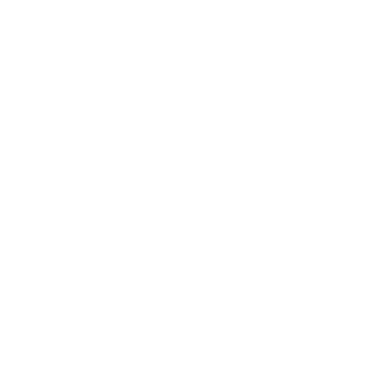 Iron Allies Fitness
