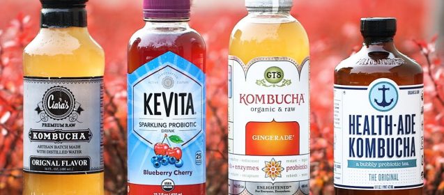 Have You Tried Kombucha