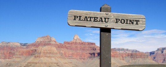 How To Beat A Fat Loss Plateau