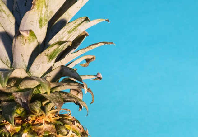 Pineapple For Weight Loss?