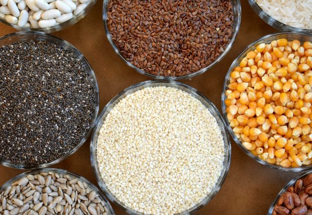 What's The Best Plant Based Protein?