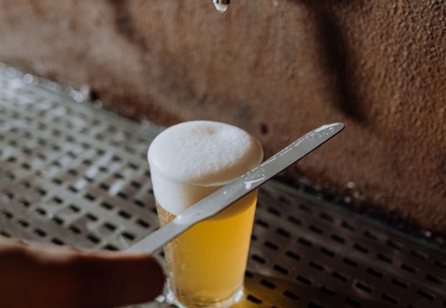 Does Alcohol Make Me Gain Weight?