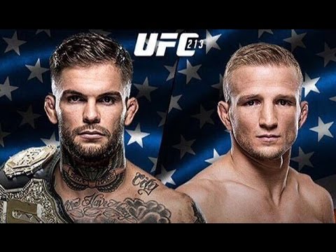 ufc 217 play by play